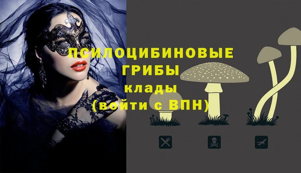 соль курить ск Абаза