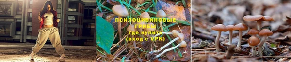 эйфоретик Алзамай
