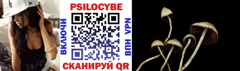 как найти наркотики  Гусь-Хрустальный  Псилоцибиновые грибы прущие грибы 